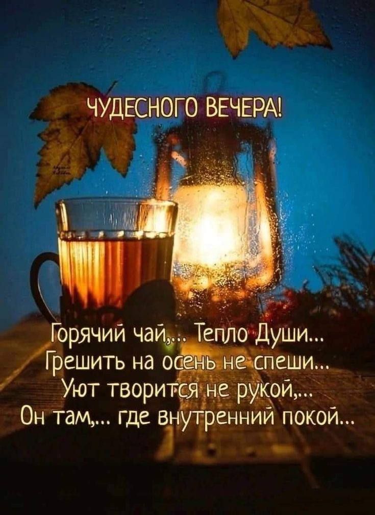ЧУДЕСНОГО ВЕЧЕРА