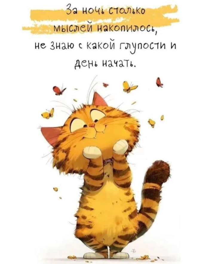 За ночь слолько мыслей накопизось не Знаю с Какой глупости и день начать