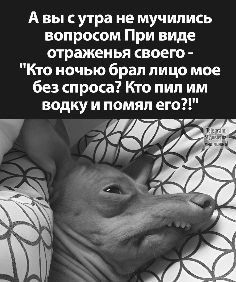 Авы сутра не мучились вопросом При виде отраженья своего Кто ночью брал лицо мое без спроса Кто пил им водку и помял его ча й И УЛ й