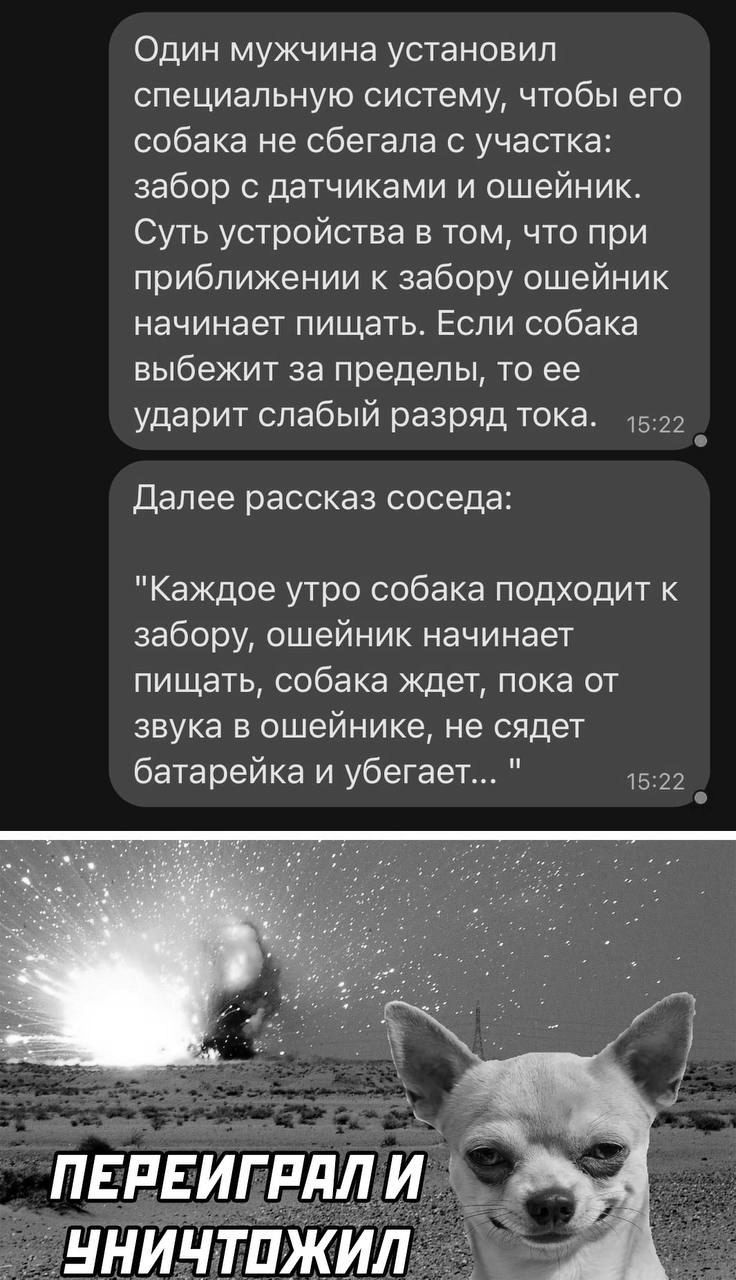 Один мужчина установил специальную систему чтобы его собака не сбегала с участка забор с датчиками и ошейник Суть устройства в том что при приближении к забору ошейник начинает пищать Если собака выбежит за пределы то ее ударит слабый разряд тока 152 й Далее рассказ соседа Каждое утро собака подходит к забору ошейник начинает пищать собака ждет пок