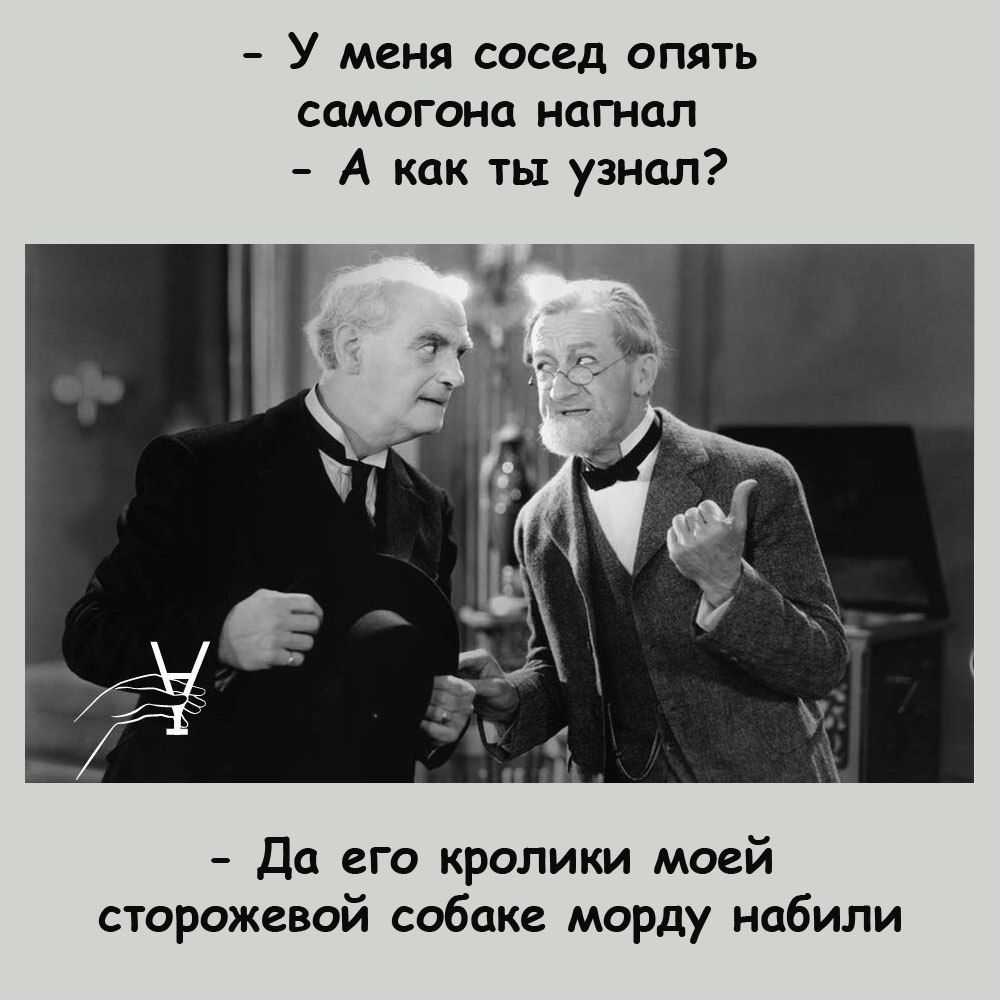 У меня сосед опять самогона нагнал А как ты узнал Да его кролики моей сторожевой собаке морду набили