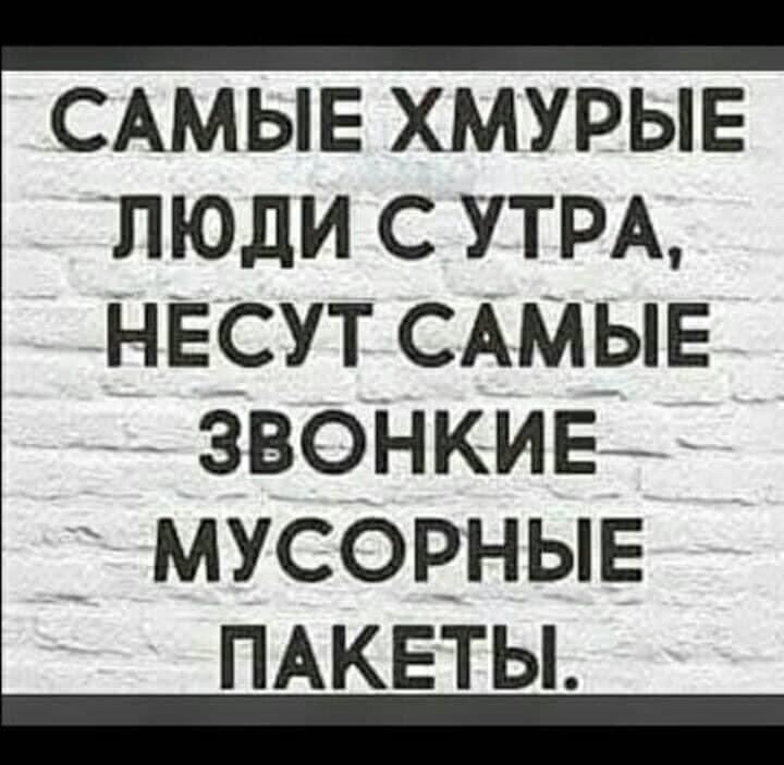 ооосщащиниЕС н САМЫЕ ХМУРЫЕ ЛЮДИ С УТРА НЕСУТ САМЫЕ ЗВОНКИЕ МУСОРНЫЕ ПАКЕТЫ