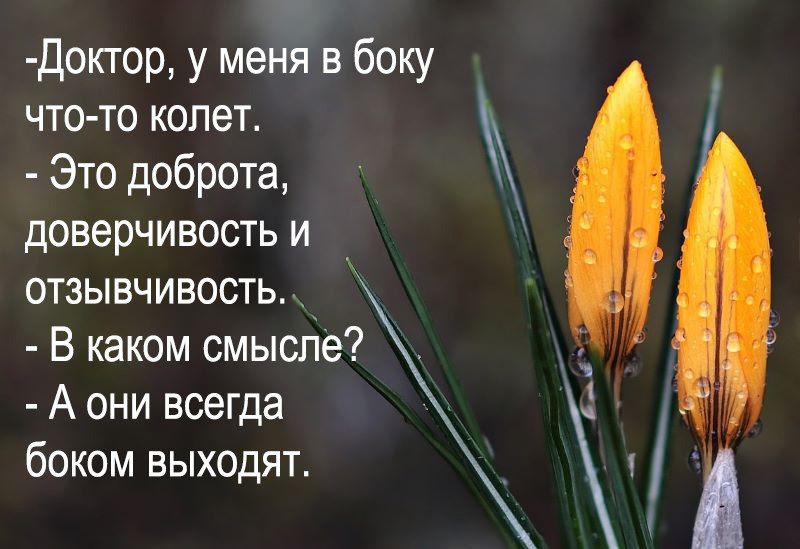 Доктор у меня в боку что то колет Это доброта доверчивость и ОТЗЫВЧИВОСТЬ В каком смысле А они всегда боком выходят