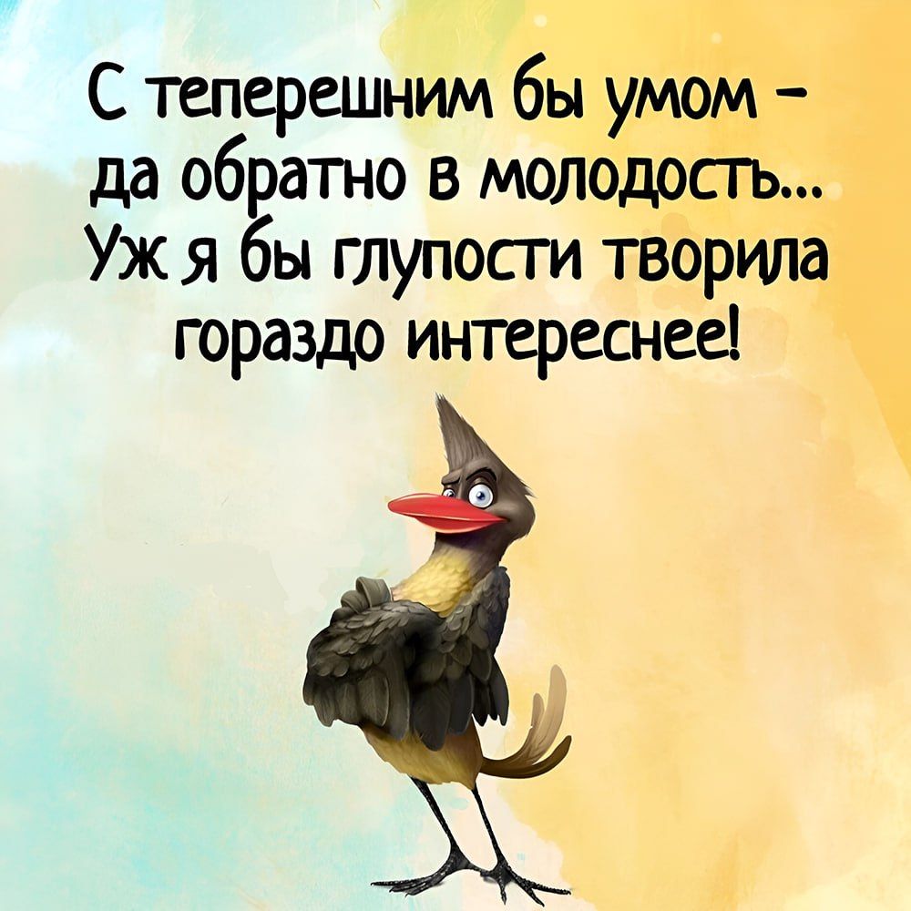 Е С теперешним бы умо да обратно в МОЛОДОСТ Уж я бы глупости тво гораздо интереснее _