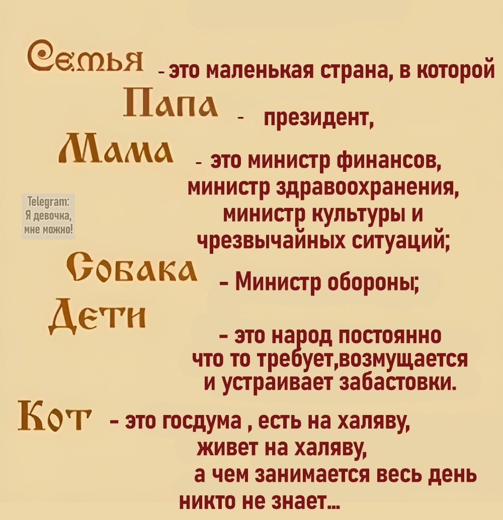 етья это маленькая страна в иаторпй Папа президент Мама это министр финансов министр здравоохранения бдаоча министр культуры и н чрезвычайных ситуаций Совака Министр обороны Дети это народ постоянно что то требуетвозмущается и устраивает забастовки Котт это госдума есть на халяву живет на халяву ачем занимается весь день никто не знает