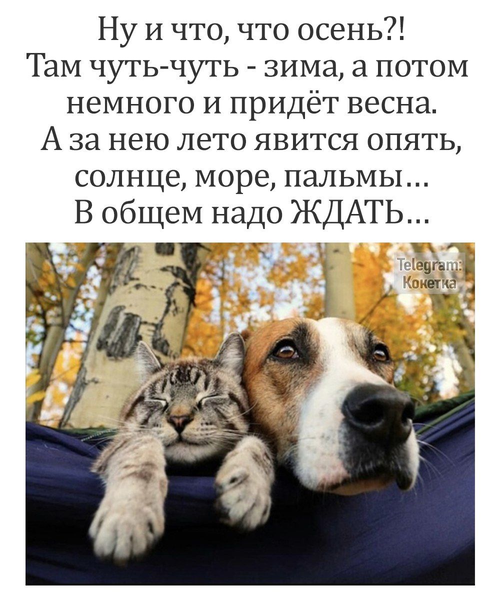 Ну и что что осень Там чуть чуть зима а потом немного и придёт весна Аза нею лето явится опять солнце море пальмы В общем надо ЖДАТЬ ж