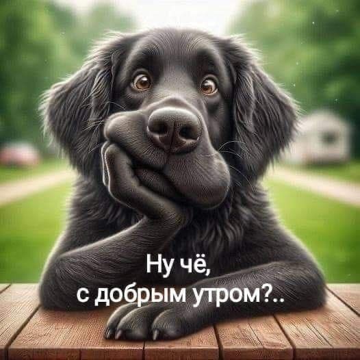 Ну чё _ Ё с дым утром УН а еойх