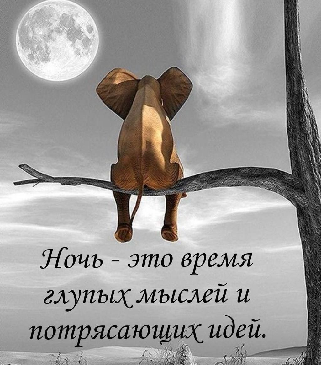 Ночь это время глупых мыслей и потрясающшс идей Зй И