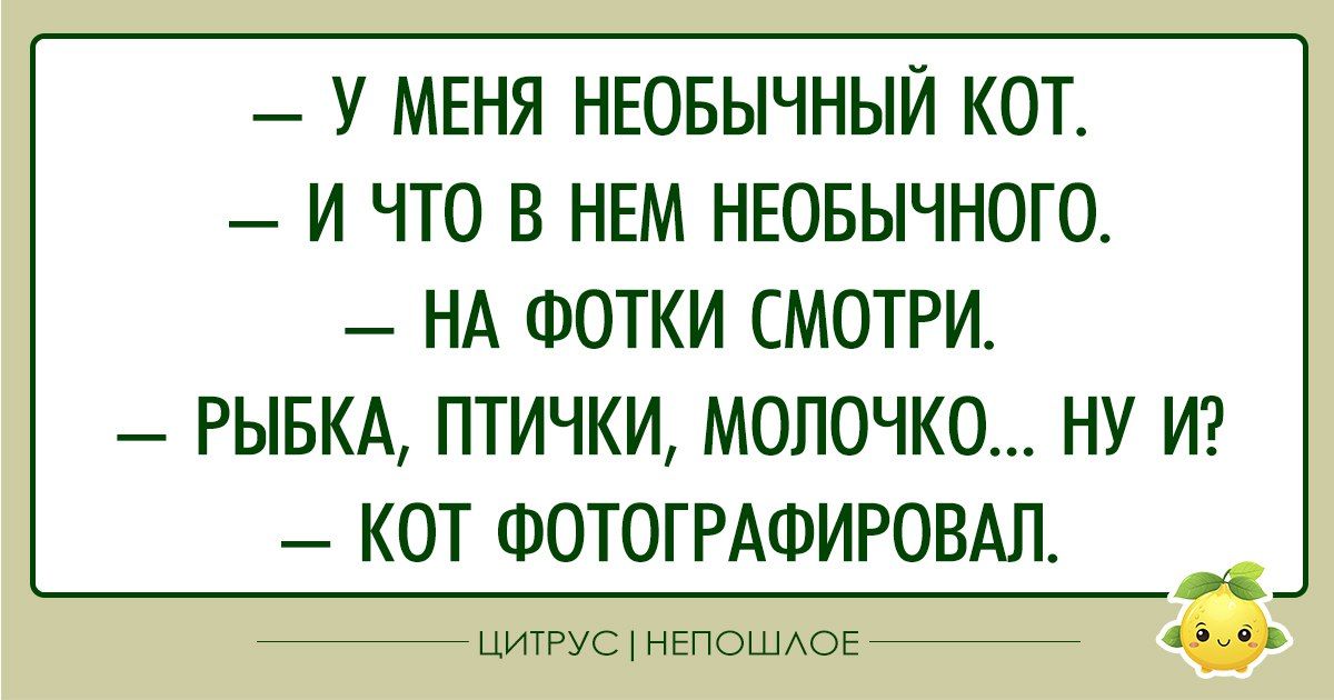 У МЕНЯ НЕОБЫЧНЫЙ КОТ И ЧТО В НЕМ НЕОБЫЧНОГО НА ФОТКИ СМОТРИ РЫБКА ПТИЧКИ МОЛОЧКО НУ И КОТ ФОТОГРАФИРОВАЛ оч аз5ь ЦИТРУС НЕПОШЛОЕ