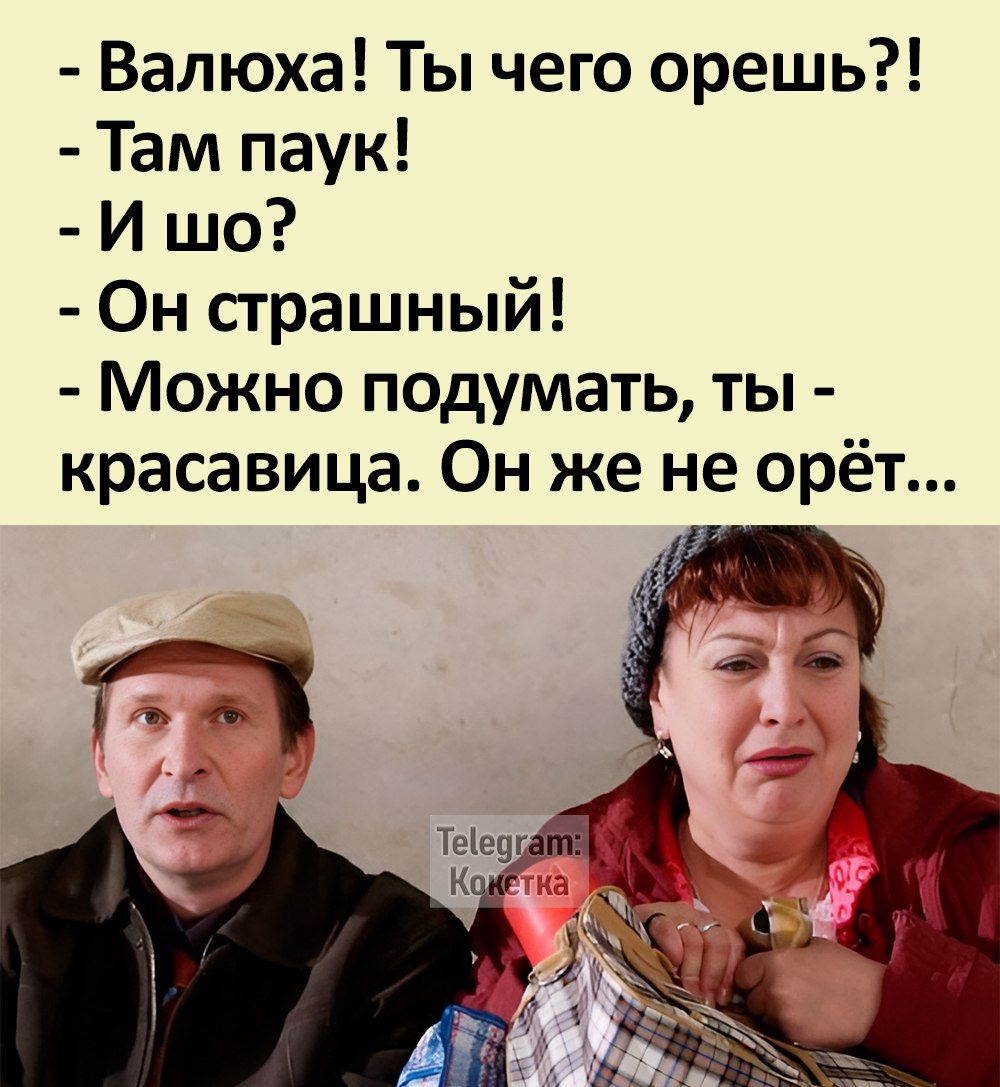 Валюха Ты чего орешь Там паук И шо Он страшный Можно подумать ты красавица Он же не орёт