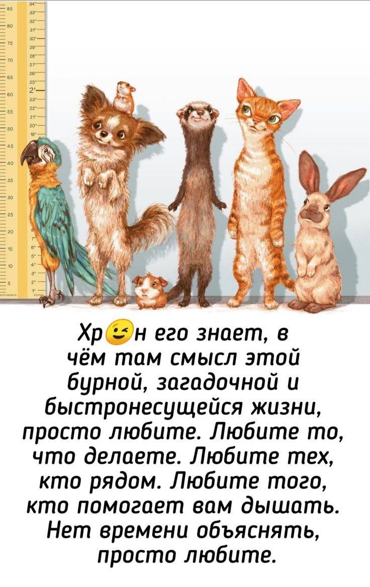 Хр н его знает в чём там смысл этой бурной загадочной и быстронесущейся жизни просто любите Любите то что делаете Любите тех кто рядом Любите того кто помогает вам дышать Нет времени объяснять просто любите