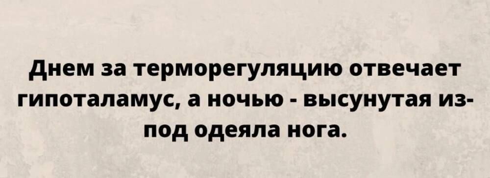 Днем за терморегуляцию отвечает гипоталамугс а ночью высунутая из под одеяла нога