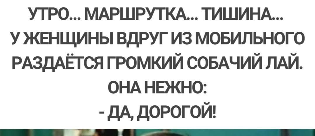 УТРО МАРШРУТКА ТИШИНА УЖЕНЩИНЫ ВДРУГ ИЗ МОБИЛЬНОГО РАЗДАЁТСЯ ГРОМКИЙ СОБАЧИЙ ЛАЙ ОНА НЕЖНО ДА ДОРОГОЙ