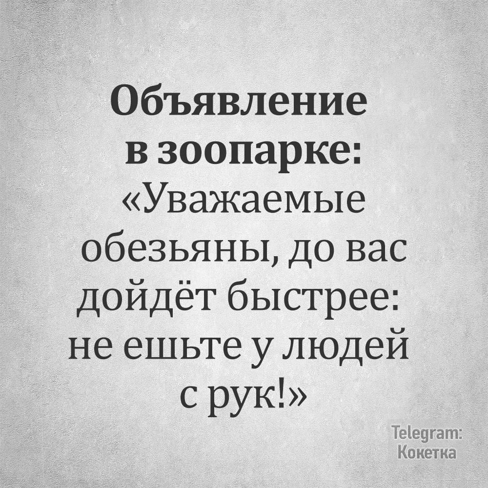 Объявление взоопарке Уважаемые обезьяны до вас дойдёт быстрее не ешьте у людей срук