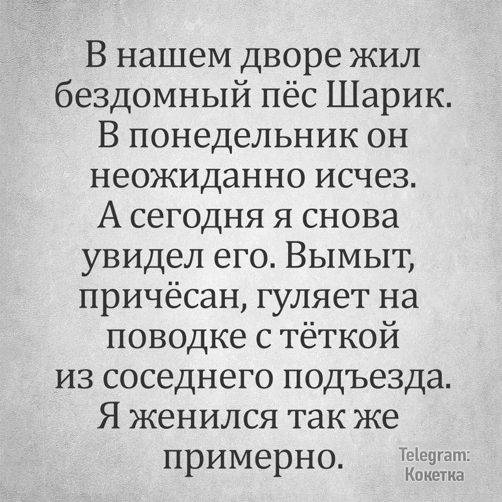 В нашем дворе жил бездомный пёс Шарик В понедельник он неожиданно исчез А сегодня я снова увидел его Вымыт причёсан гуляет на поводке с тёткой из соседнего подъезда Я женился так же примерно от Кокетка