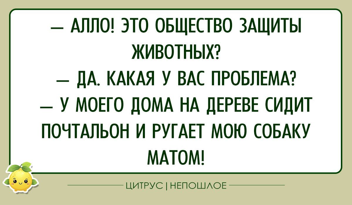 АЛЛО ЭТО ОБЩЕСТВО ЗАЩИТЫ ЖИВОТНЫХ ДА КАКАЯ У ВАС ПРОБЛЕМА У МОЕГО ДОМА НА ДЕРЕВЕ СИДИТ ПОЧТАЛЬОН И РУГАЕТ МОЮ СОБАКУ МАТОМ ЦИТРУС НЕПОШЛОЕ