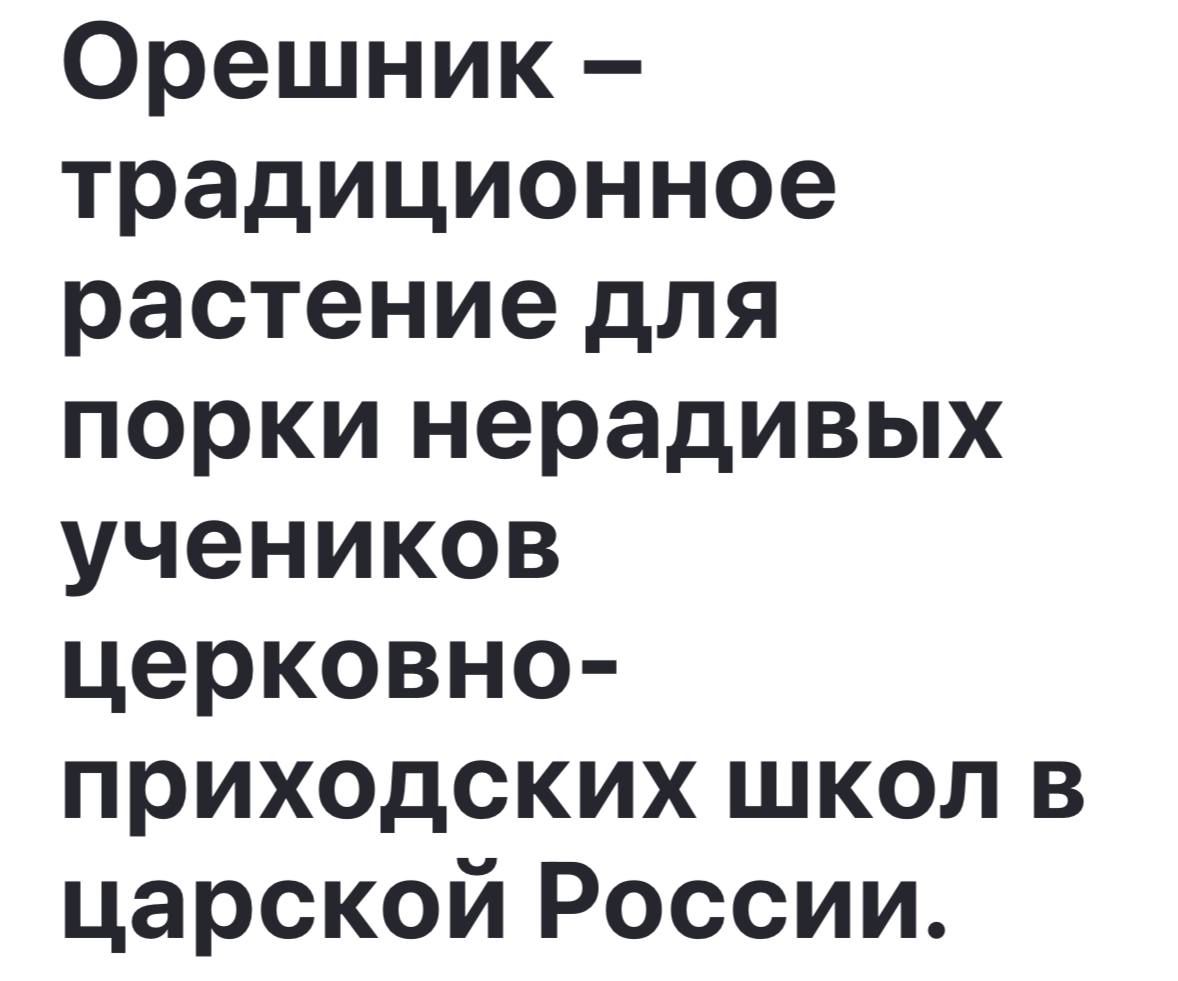 Орешник традиционное растение для порки нерадивых учеников церковно приходских школ в царской России