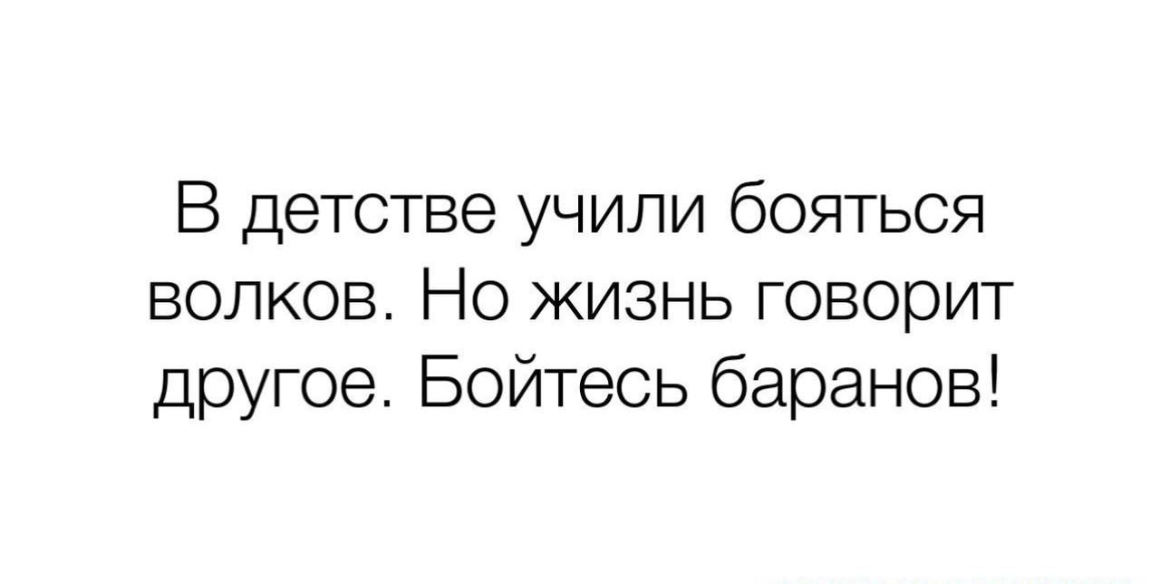 В детстве учили бояться волков Но жизнь говорит другое Бойтесь баранов