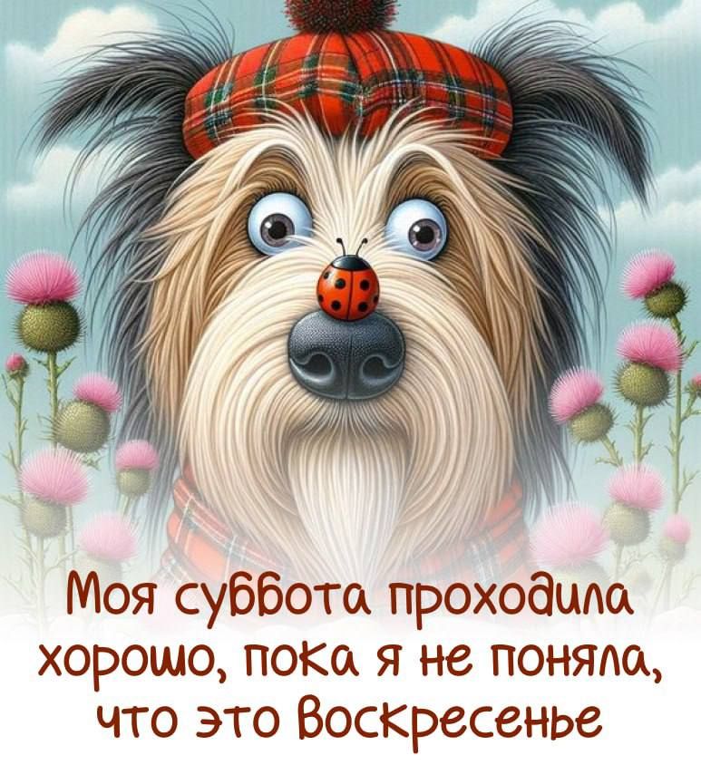 Моя суббота прохойило хоромо поКа я нё поняло что это Воскресенье