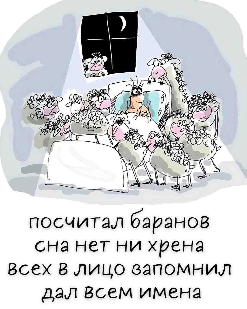 посчитал 62Р2НОВ сна нет ни хрена всех В лицо запомнил дал всем имена