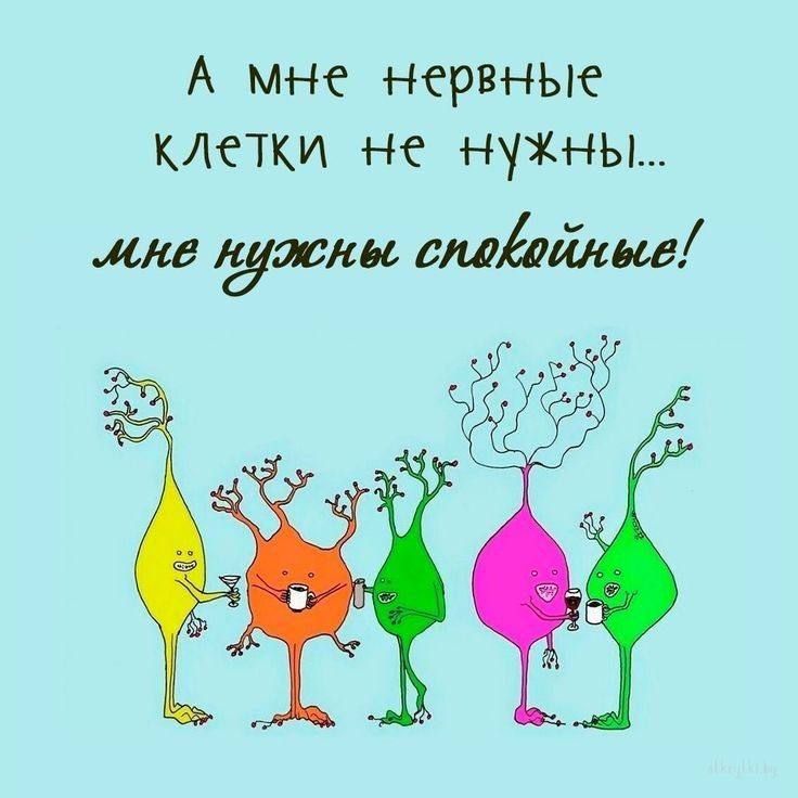 А мне нервные клетки не нужны вна нужны спавойные