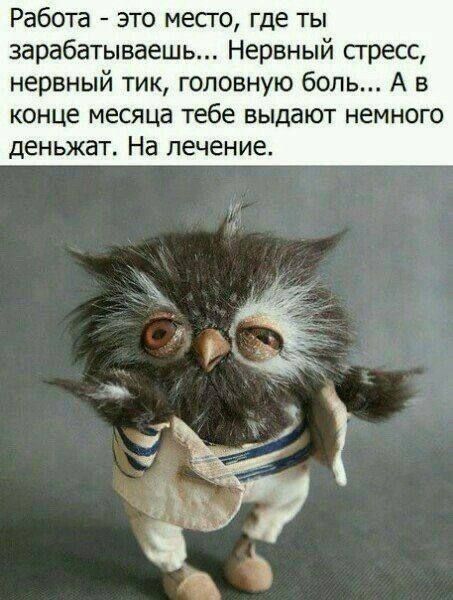 Работа это место где ты зарабатываешь Нервный стресс нервный тик головную боль А в конце месяца тебе выдают немного деньжат На лечение