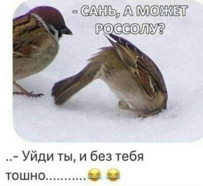 Уйди ты и без тебя