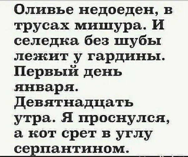 Оливье недоеден в трусах мишура И селедка без шубы лежит у гардины Первый день января Девятнадцать утра Я проснулся а кот срет в углу серпантином