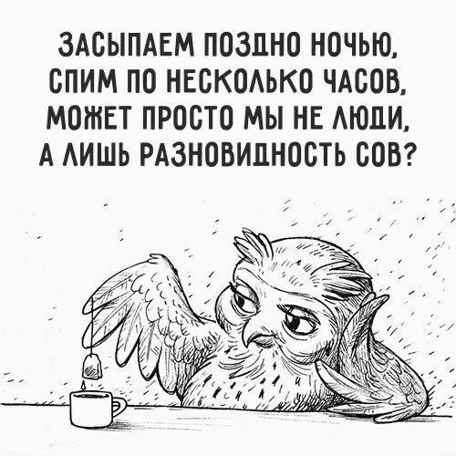 ЗАСЫПАЕМ ПОЗДНО НОЧЬЮ СПИМ ПО НЕСКОЛЬКО ЧАСОВ МОЖЕТ ПРОСТО МЫ НЕ ЛЮДИ А ЛИШЬ РАЗНОВИДНОСТЬ СОВ