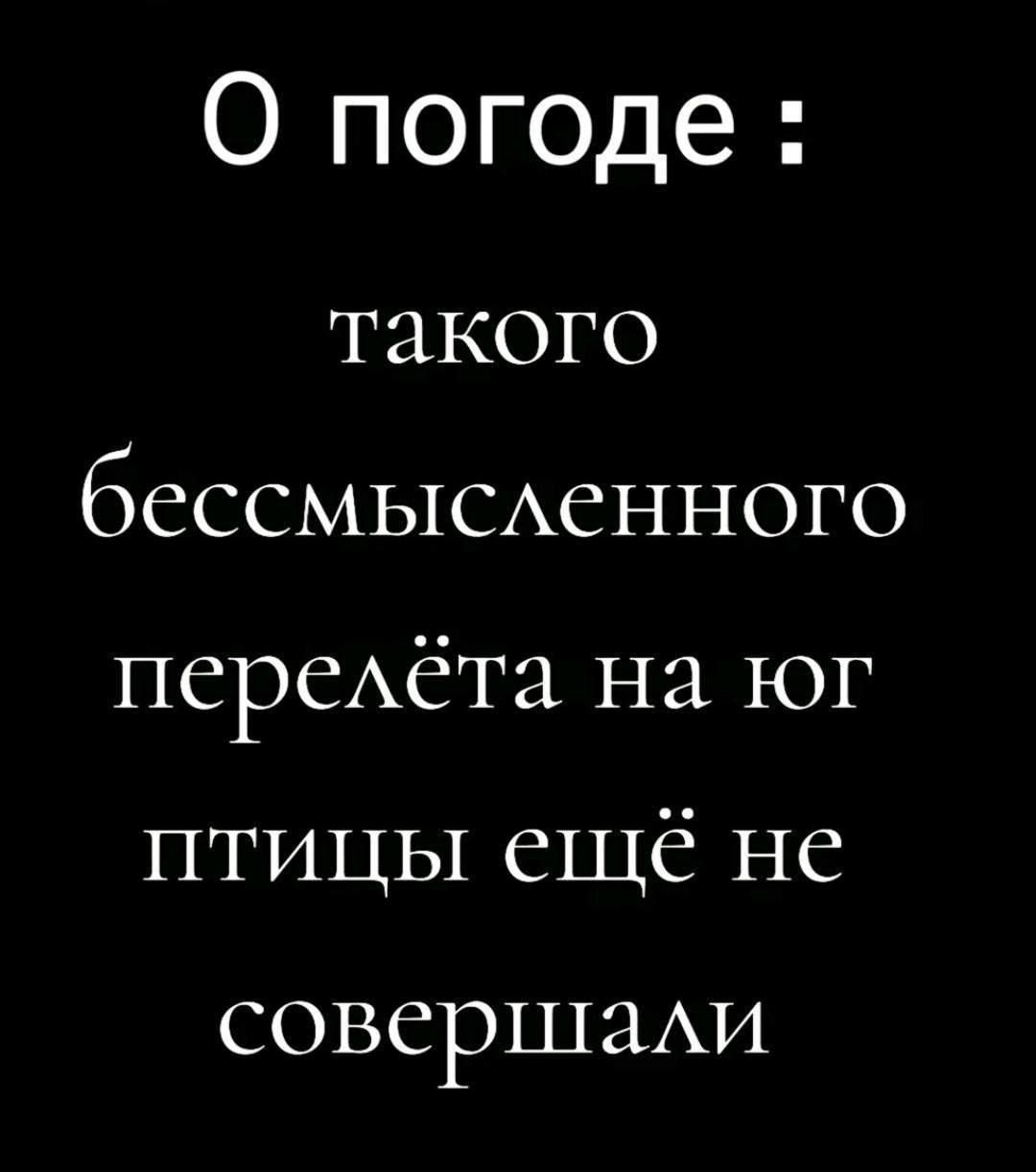 О погоде такого бессмысленного перелёта на юг птицы ещё не совершали