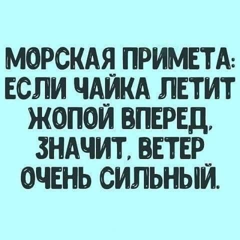 МОРСКАЯ ПРИМЕТА ЕСЛИ ЧАЙКА ЛЕТИТ ЖОПОЙ ВПЕРЕД ЗНАЧИТ ВЕТЕР_ ОЧЕНЬ СИЛЬНЫЙ