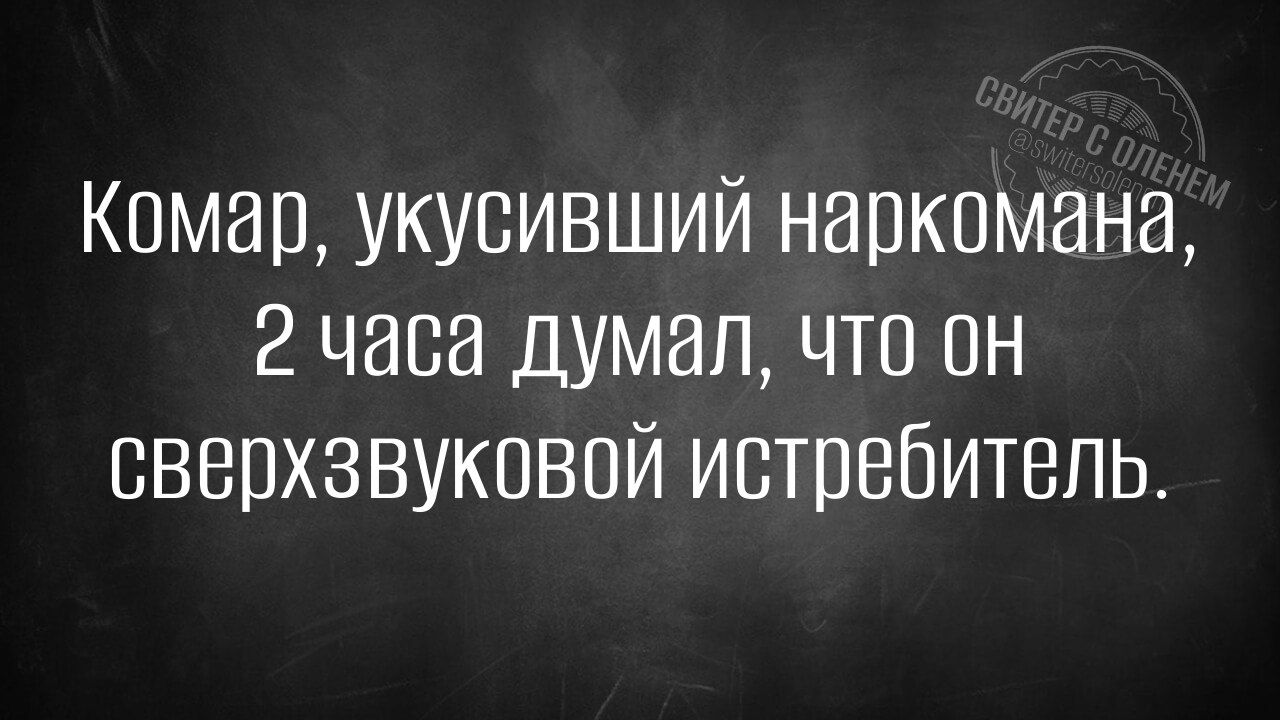 Комар укусивший наркомана 2 часа думал что он сверхзвуковой истребитель