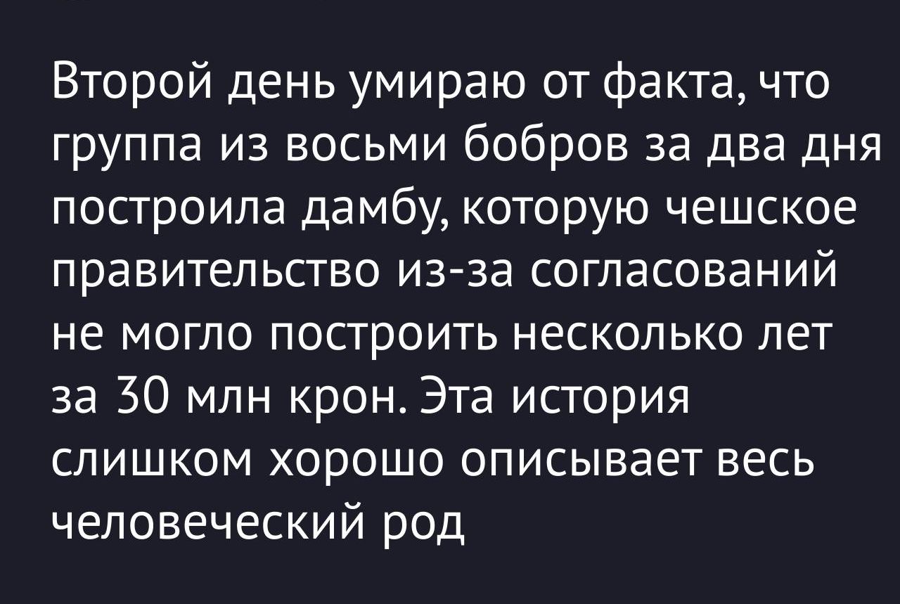 Второй день умираю от факта что группа из восьми бобров за два дня построила дамбу которую чешское правительство из за согласований не могло построить несколько лет за 50 млн крон Эта история слишком хорошо описывает весь человеческий род