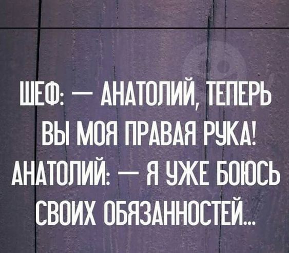 ШЕО АНАТОЛИЙ ТЕПЕРЬ ВЫ МОЯ ПРАВАЯ РУКА АНАТОЛИЙ Я УЖЕ БОЮСЬ СВОИХ ОБЯЗАННОСТЕЙ