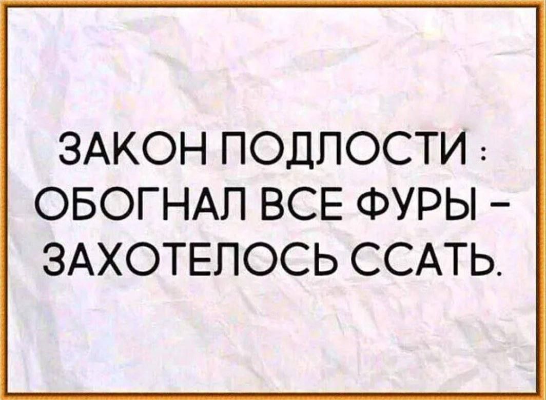 ЗАКОН ПОДЛОСТИ ОБОГНАЛ ВСЕ ФУРЫ ЗАХОТЕЛОСЬ ССАТЬ