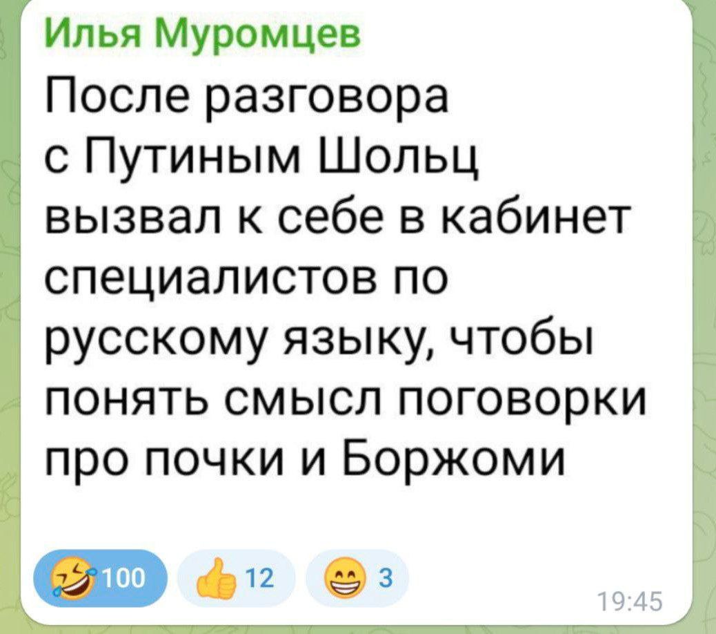 Илья Муромцев После разговора с Путиным Шольц вызвал к себе в кабинет специалистов по русскому языку чтобы понять смысл поговорки про почки и Боржоми фе