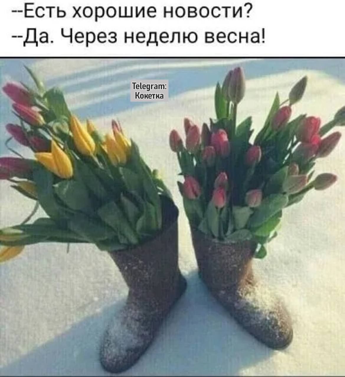 Есть хорошие новости Да Через неделю весна Тееуат Конетка