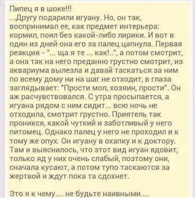 Пипец я в шоке Другу подарили игуану Но он так воспринимал ее как предмет интерьера кормил поил без какой либо лирики И вот в один из дней она его за палец цапнула Первая реакция ща я те как а потом смотрит а она так на него преданно грустно смотрит из аквариума вылезла и давай таскаться за ним по всему дому ни на шаг не отходит в глаза заглядывает