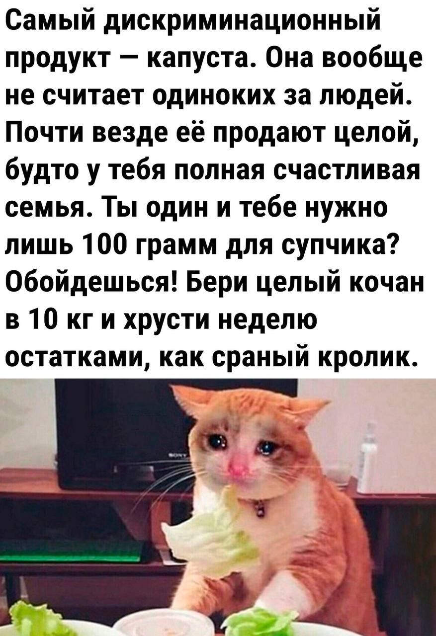 Самый дискриминационный продукт — капуста. Она вообще не считает одиноких за людей. Почти везде её продают целой, будто у тебя полная счастливая семья. Ты один и тебе нужно лишь 100 грамм для супчика? Обойдёшься! Бери целый кочан в 10 кг и хрусти неделю остатками, как сраный кролик.