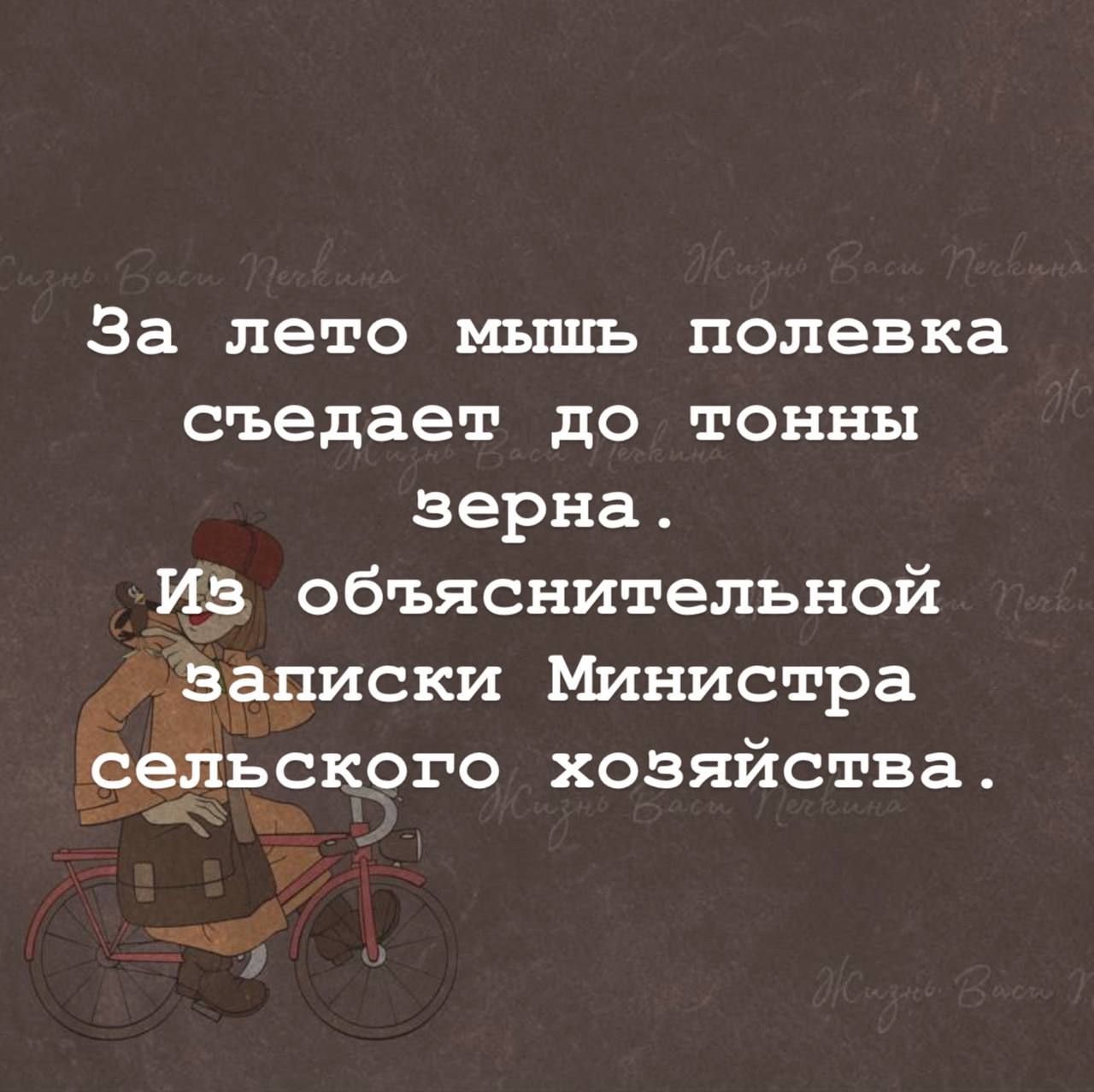 За лето мышь полевка съедает до тонны зерна. Из объяснительной записки Министра сельского хозяйства.