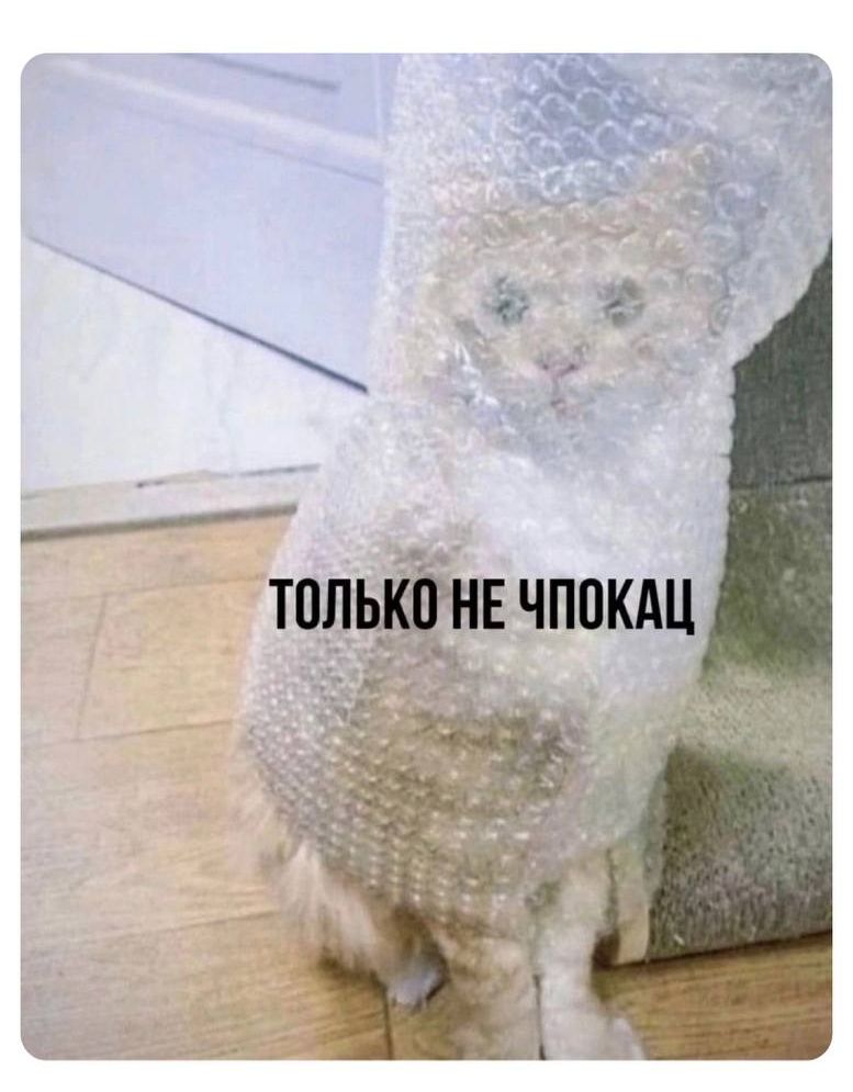 Только не чпокац