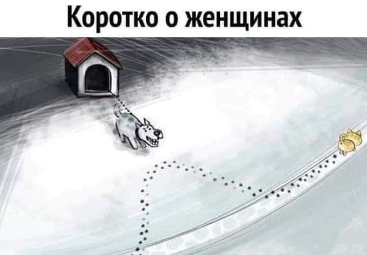 Коротко о женщинах