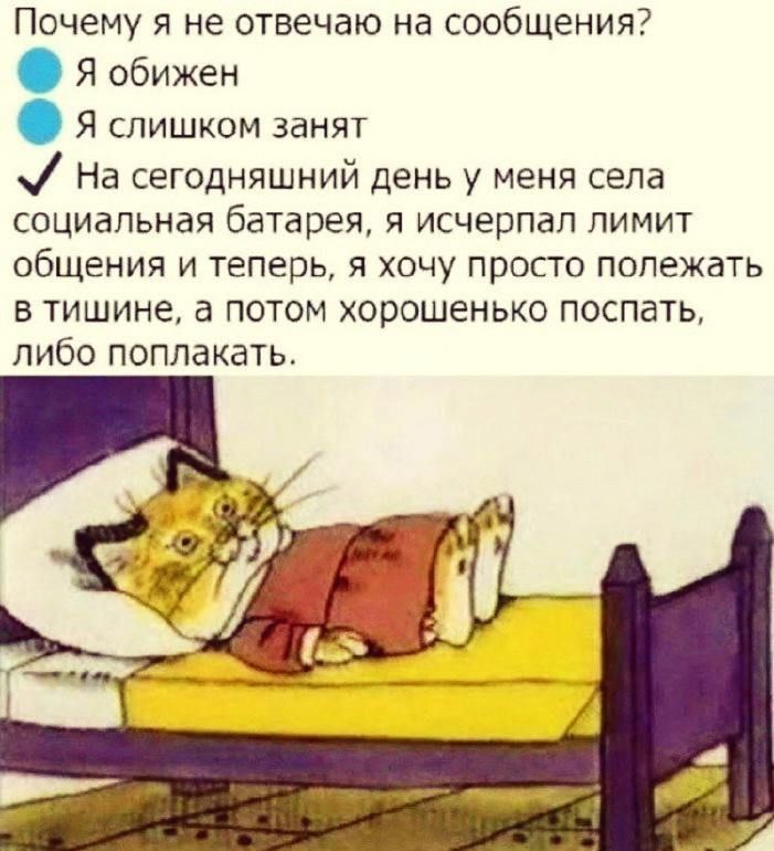 Почему я не отвечаю на сообщения? ⭕ Я обижен 🔵 Я слишком занят ✔ На сегодняшний день у меня села социальная батарея, я исчерпал лимит общения и теперь, я хочу просто полежать в тишине, а потом хорошенько поспать, либо поплакать.