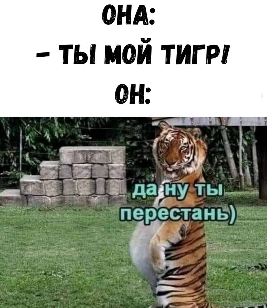 ОНА: - ТЫ МОЙ ТИГР!
ОН: да ну ты перестань)