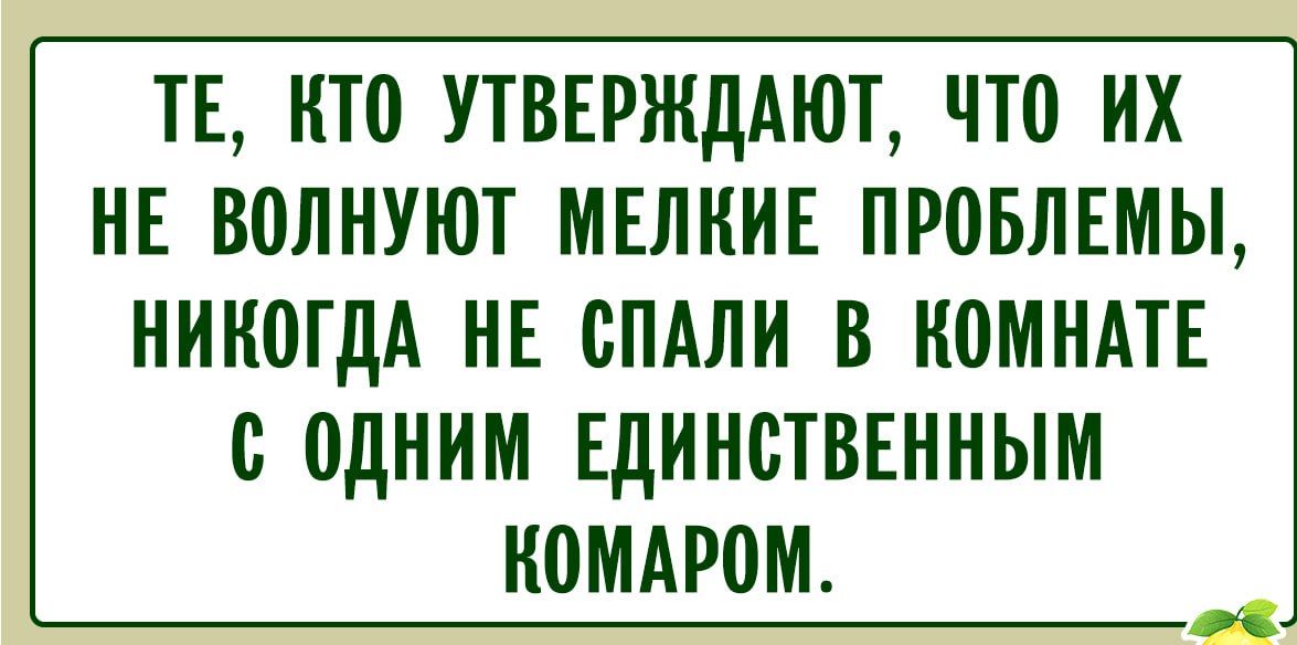 ТЕ, КТО УТВЕРЖДАЮТ, ЧТО ИХ НЕ ВОЛНУЮТ МЕЛКИЕ ПРОБЛЕМЫ, НИКОГДА НЕ СПАЛИ В КОМНАТЕ С ОДНИМ ЕДИНСТВЕННЫМ КОМАРОМ.