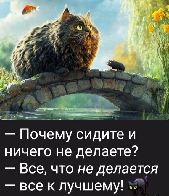 — Почему сидите и ничего не делаете?
— Все, что не делается – все к лучшему!
