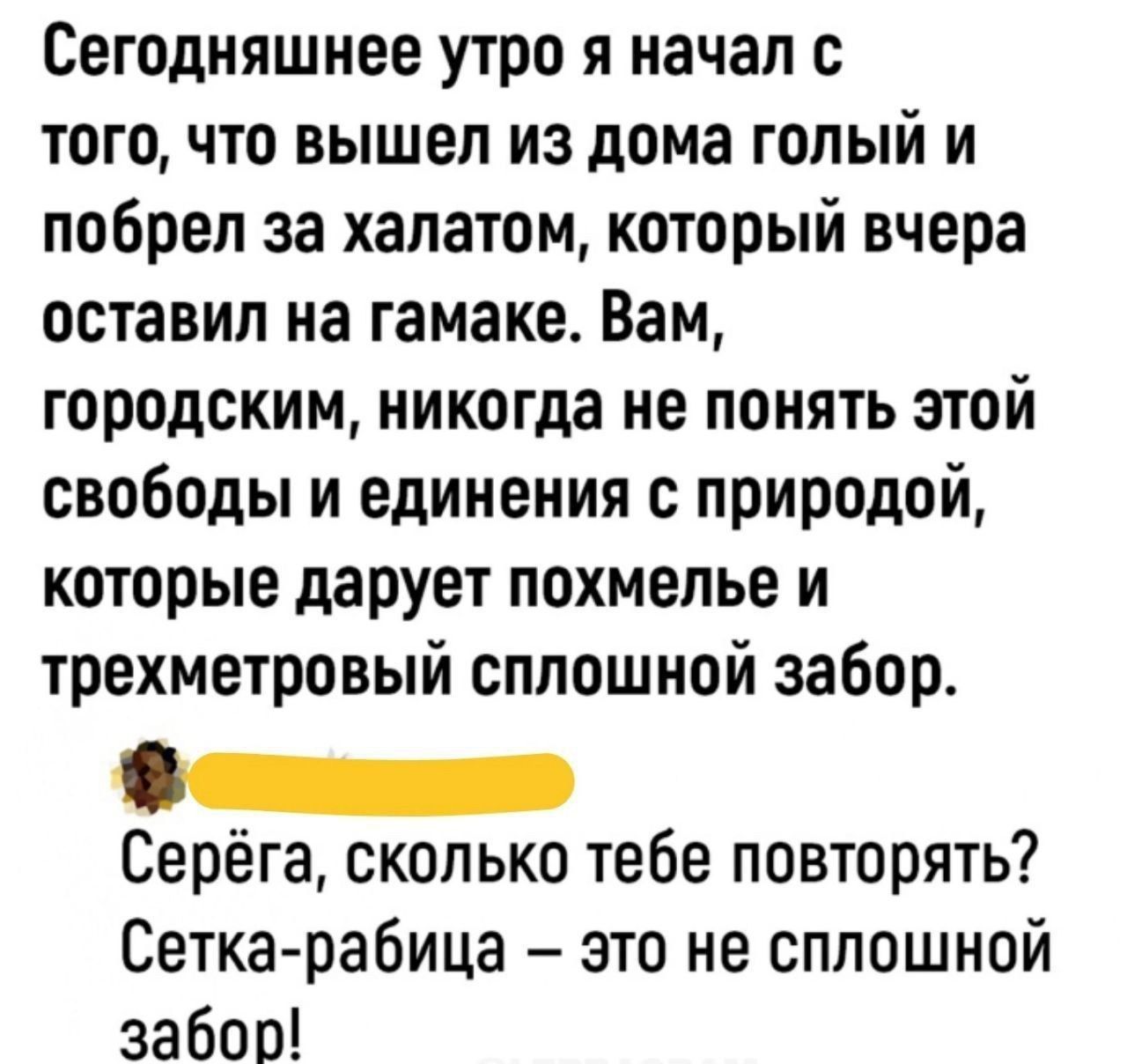 Сегодняшнее утро я начал с того, что вышел из дома голый и побрел за халатом, который вчера оставил на гамаке. Вам, городским, никогда не понять этой свободы и единения с природой, которые дарует похмелье и трехметровый сплошной забор.

Серёга, сколько тебе повторять? Сетка-рабрица – это не сплошной забор!