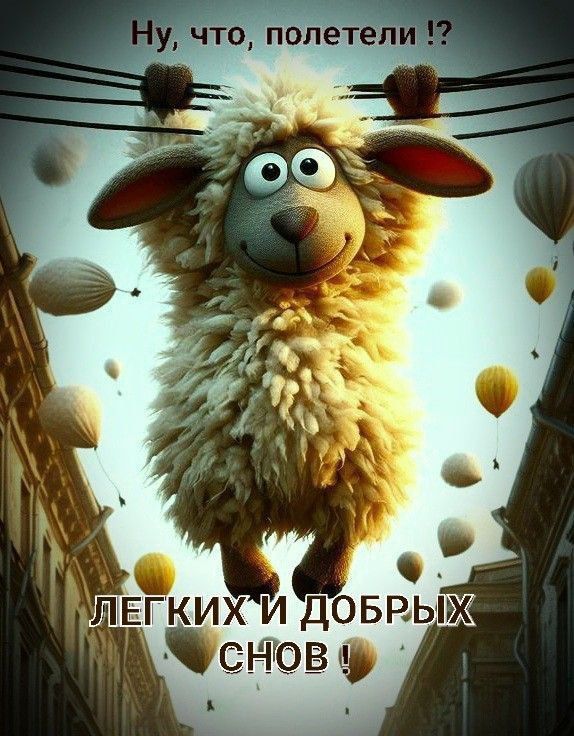 Ну, что, полетели!? ЛЕГКИХ И ДОБРЫХ СНОВ !
