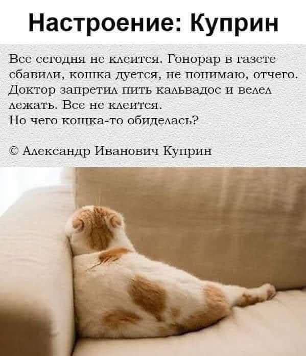 Настроение: Куприн

Все сегодня не клеится. Гонор в газете сбавили, кошка дуетса, не понимаю, отчео. Доктор запретил пить кальвадос и велел лежать. Все не клеится.
Но чего кошка-то обиделась?

© Александр Иванович Куприн