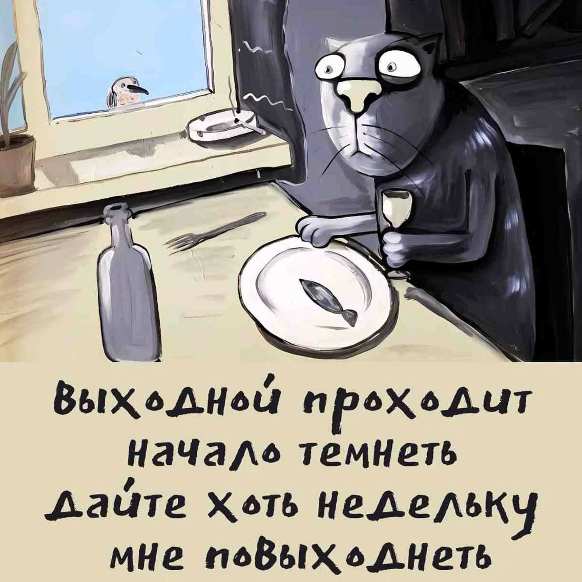 В выходной проходит начало темнеть дайте хоть недельку мне повыходить